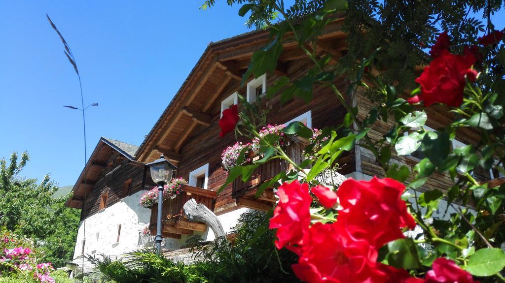 Agriturismo Raethia Isolaccia Ngoại thất bức ảnh