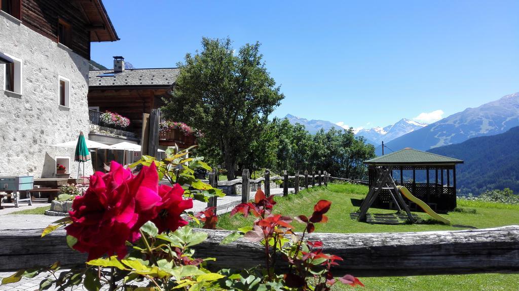 Agriturismo Raethia Isolaccia Ngoại thất bức ảnh
